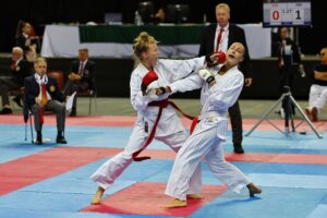 karate, fighters, athlete-7477212.jpg